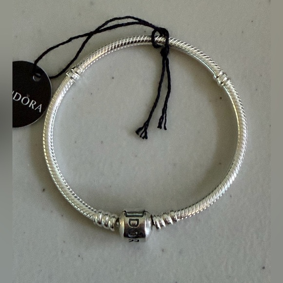 Pandora Classic Silver Bracelet - Picture 2 of 12
